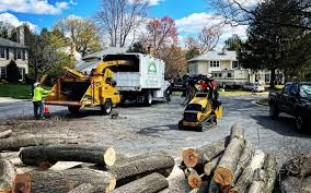 Lawn Pest Prevention in Round Lake Park, IL